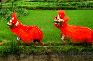 气势如虹的传统文化之舞——玄滩狮舞