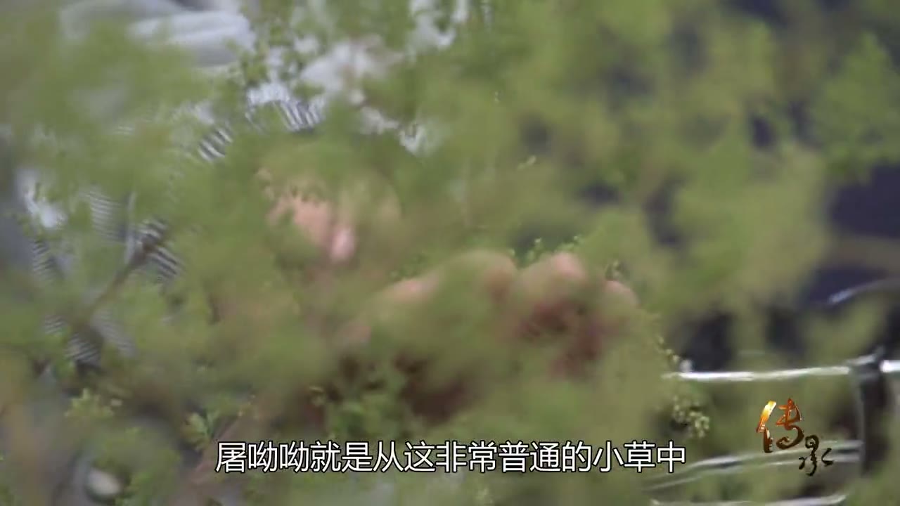 大医情怀